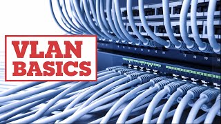What Are VLANs And How Do They Function In Networks?