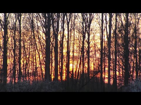 Temeon Outdoor - Abend am Angelteich 18.4.2015