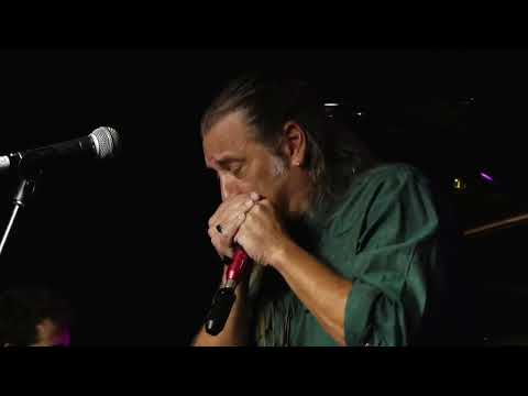 Dov Hammer live at the Jerusalem harmonica festival 2022