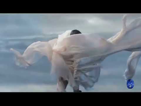 Stive Morgan     Flight Of The Soul