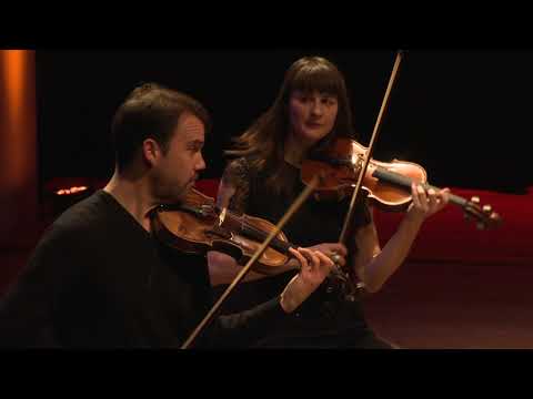 Myrddin & Bow - Farruca