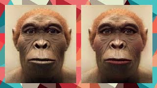 Download lagu Bom Diggy Diggy (SKTKS) ft. Mr. & Mrs. Monkey #BomDiggyDiggy #SKTKS #MonkeyMemer #YouTubeShorts mp3