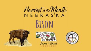 Harvest of the Month: Bison