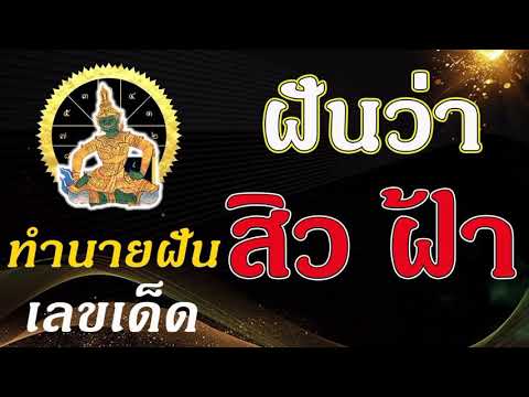 ทํานายฝัน เลขเด็ด แม่นๆ ฟรี