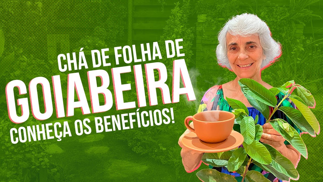 Folha de Goiabeira: O Milagre Natural para Sua Saúde!