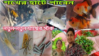 অনেক দিন পরে ভিডিও এলো | Aquarium Fish Haat |Aquarium Plants | Serampore Fish Market | Aquarium Fish