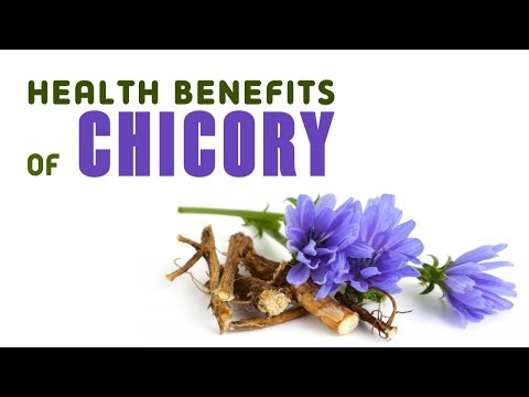 8. Health Benefits of Chicory