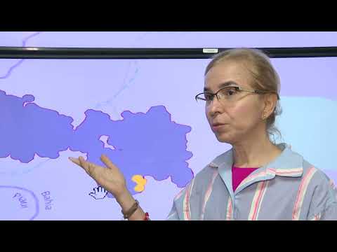 Chuvas ajudam a conter incêndios que atingem o sul do Piauí há uma semana