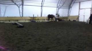 Starlight's first jump in the indoor arena: first time in a