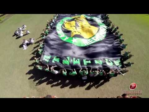 Teaser Intermed Pantanal II