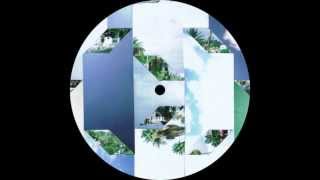 Morgan Zarate: Pusher Taker feat Roses Gabor (Hyperdub 2013)