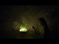 Living Light is an off-grid lamp powered by photosynthesis