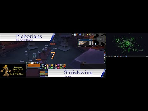 Shriekwing Boss Fight