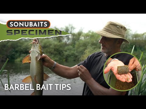 Barbel Fishing Bait Tips! | Dai Gribble