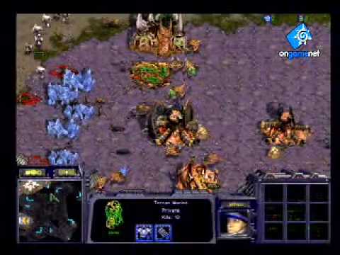 Boxer's Immortal Marines