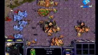 Boxer's Immortal Marines