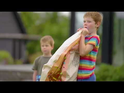 Souffleur sans fil UniversalLeafBlower 18V-130 - Solo - 06008A0601 BOSCH