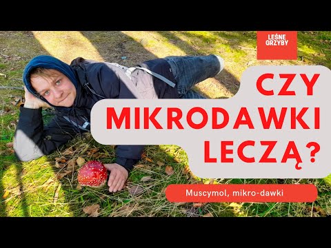 Fly Agaric - Does Microdosing Help? Part 2