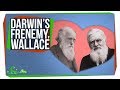 Wallace Darwin S Forgotten Frenemy