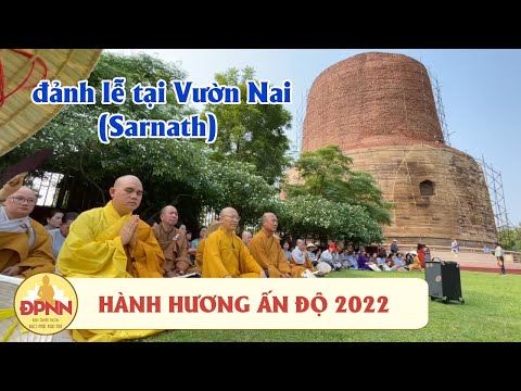 HÀNH HƯƠNG ẤN ĐỘ 2022 - Đoàn hành hương Đạo Phật Ngày Nay đảnh lễ tại Vườn Nai (Sarnath), Ấn Độ