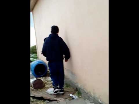 El turro el cheto el parkurista y el pato villero