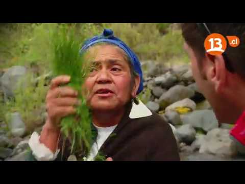 Lugares que Hablan / Alto Bío Bío, Tradición Ancestral