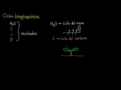 Biogeochemical Cycles Review | Ecology | Biology | Khan Academy in Spanish