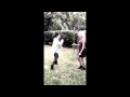 Handshake