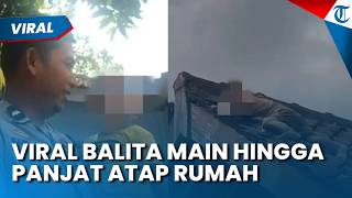 Viral Bocah 2,5 Tahun Memanjat Atap Rumah di Lombok NTB, Satu Jam Baru Bisa Dievakuasi oleh Warga