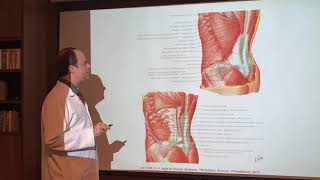 Anatomia da Parede Abdominal, Região Inguinal e Hérnias Abdominais