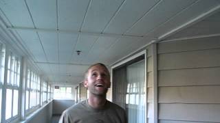 The South will rise again!