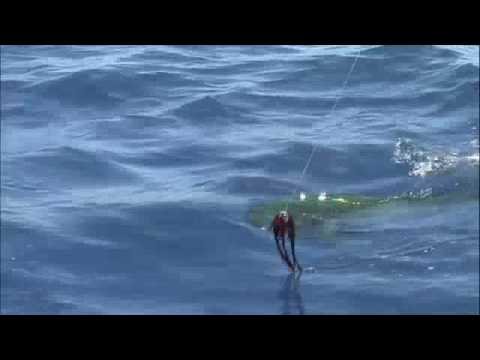 Justin's first Dolphin