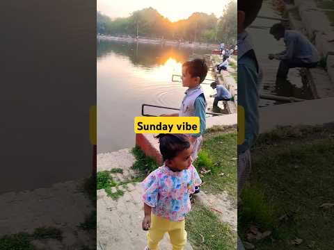 Sunday evening #saavi #darshit #cutebaby #shorts #trendingshorts