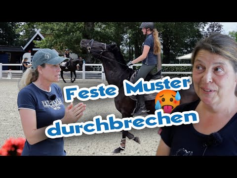 Wiedereinsteigerin will es wissen - Der Weg zum besseren Sitz beim Reiten
