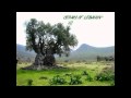 U2 - Cedars of Lebanon