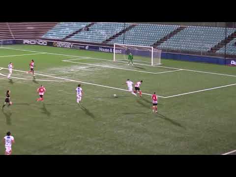 NPL NSW Men's Round 7 – Northbridge Bulls v Rockdale Ilinden