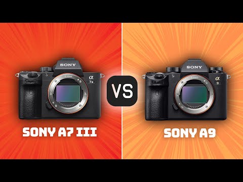 Sony A7 III vs Sony A9: Which Camera Is Better? (With Ratings & Sample Footage)