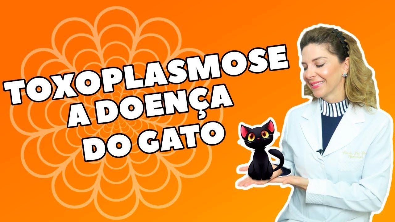 Toxoplasmose - O Que é, Sintomas, Causas e Tratamento