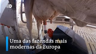 Miniatura do vídeo