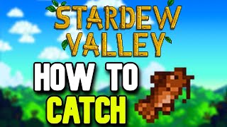 How to Catch a Bullhead in Stardew Valley