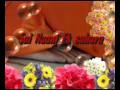 Sai instrumental Bhajan - Lotus Feet