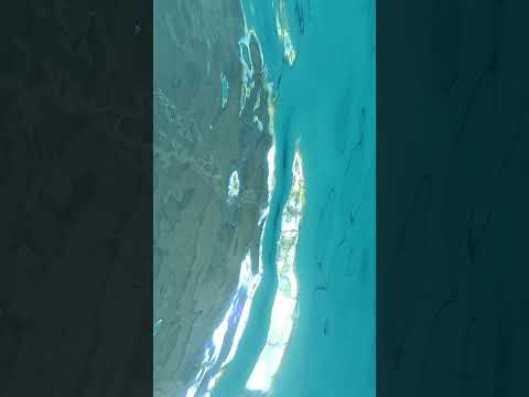 Doogee V20 Pro waterproof testing 🙄