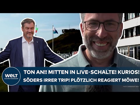 Video Thumbnail: HELGOLAND: Irrer Söder-Trip! Urkomisch! Mitten in Live-Schalte! Plötzlich reagiert Möwe wie bestellt