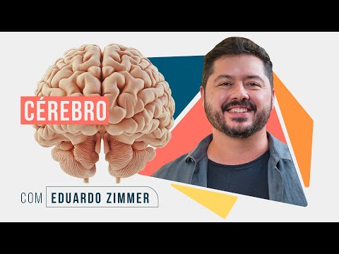 O cérebro do brasileiro precisa ser estudado (sério) - Podcast Não Ficção
