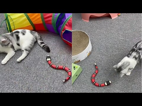 Smart Sensing Snake Toy For Cat Unboxing and Review 2022 - Cat Toy That Moves