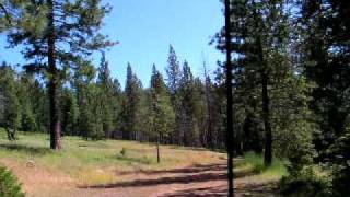 preview picture of video 'Jeep Cherokee Off Roading El Dorado National Forest'
