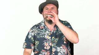 Harmonica Lesson - Sonny Boy Williamson II - Breakdown - Steven Troch