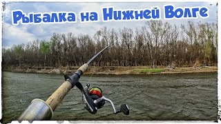 Рыбалка на нижней волги апрель месяц