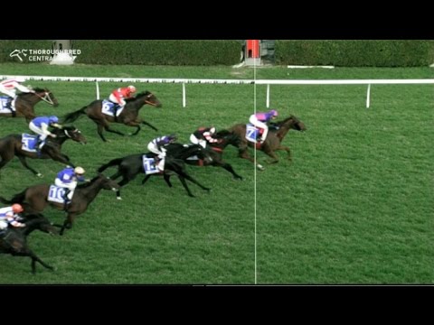 2017 S A J C  Darley Goodwood