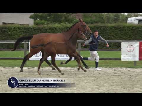 Crazy Lulu du Moulin Rouge Z
